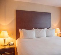 iHotel and Conference Centre Room