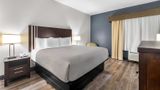 <b>Rodeway Inn Chattanooga Room</b>. Images powered by <a href="https://iceportal.shijigroup.com/" title="IcePortal" target="_blank">IcePortal</a>.