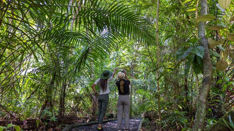 Gamboa Rainforest Resort Other