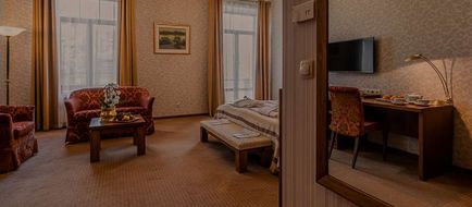 Hotel Artis Room