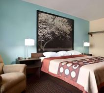 Rodeway Inn Effingham North Room