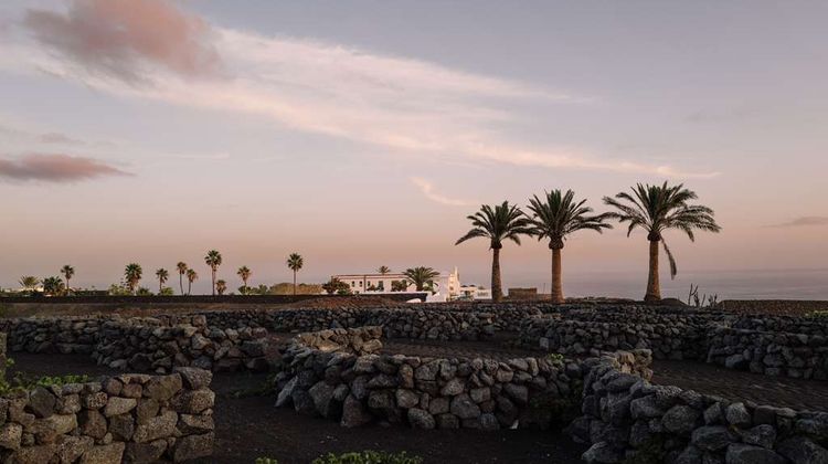 Cesar Lanzarote Exterior