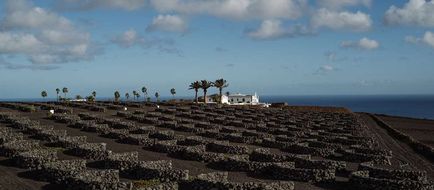 Cesar Lanzarote Exterior