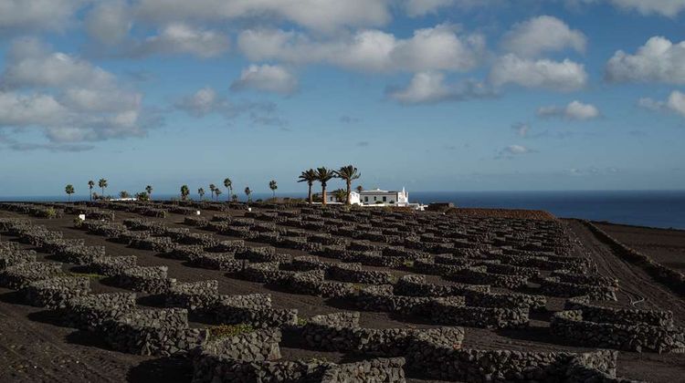 Cesar Lanzarote Exterior