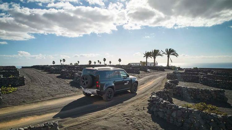 Cesar Lanzarote Other