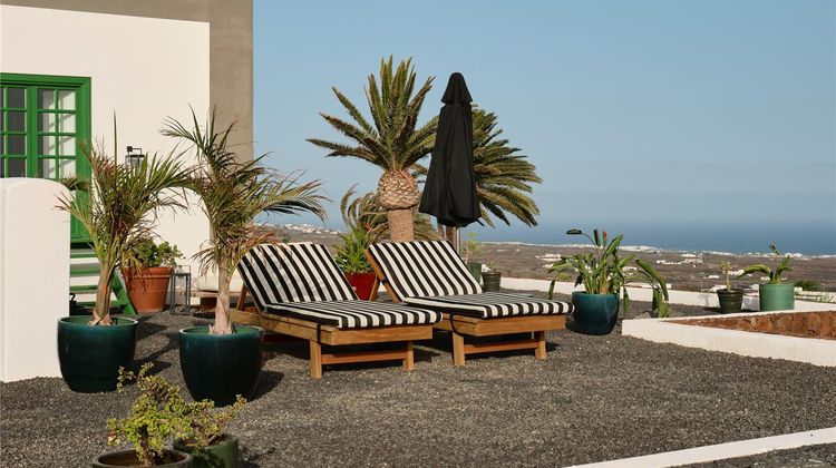 Cesar Lanzarote Suite