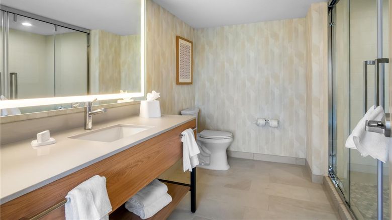 <b>Hampton Inn by Hilton Addison Dallas Room</b>. Images powered by <a href="https://iceportal.shijigroup.com/" title="IcePortal" target="_blank">IcePortal</a>.
