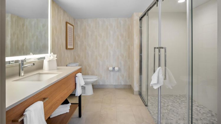 Hampton Inn by Hilton Addison Dallas Room