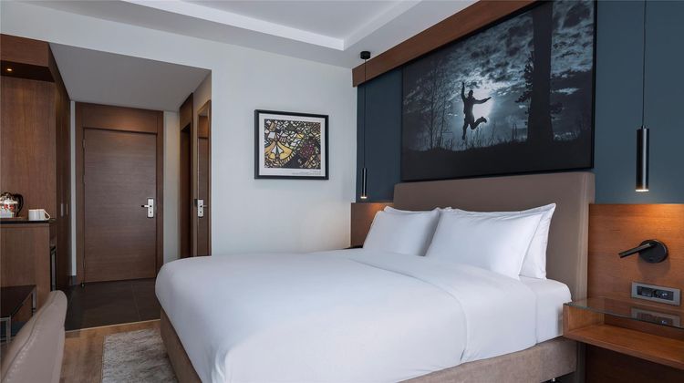 Radisson Blu Hotel, Ankara Cankaya Room