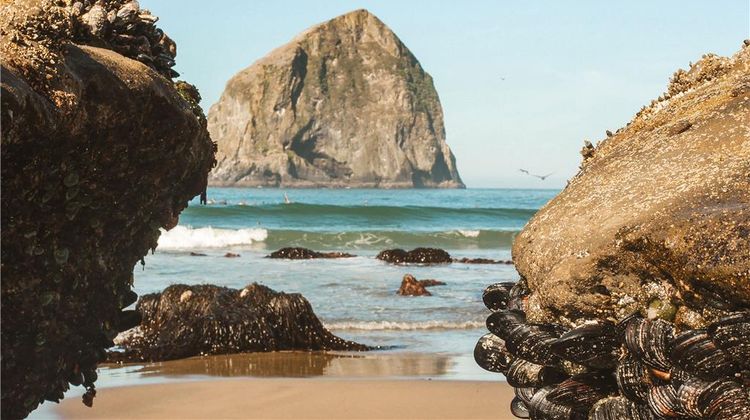 Inn at Cape Kiwanda Pool