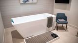 THesis Hotel Miami-Curio Collection Recreation