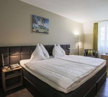 Hotel Herisau Room