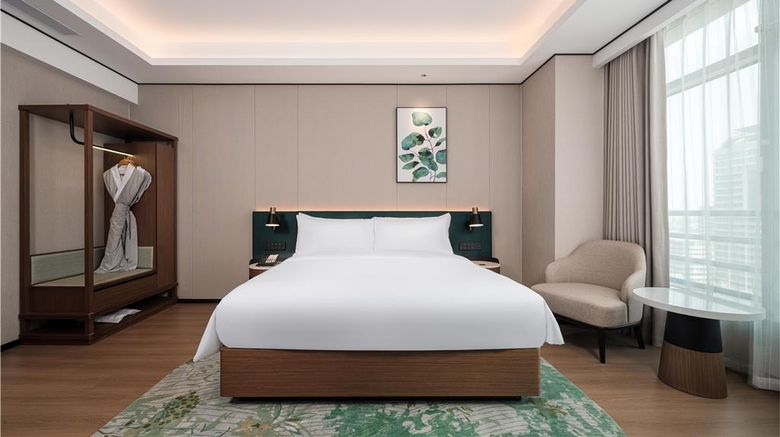 <b>Hilton Garden Inn Hefei High-Tech Zone Other</b>. Images powered by <a href="https://iceportal.shijigroup.com/" title="IcePortal" target="_blank">IcePortal</a>.