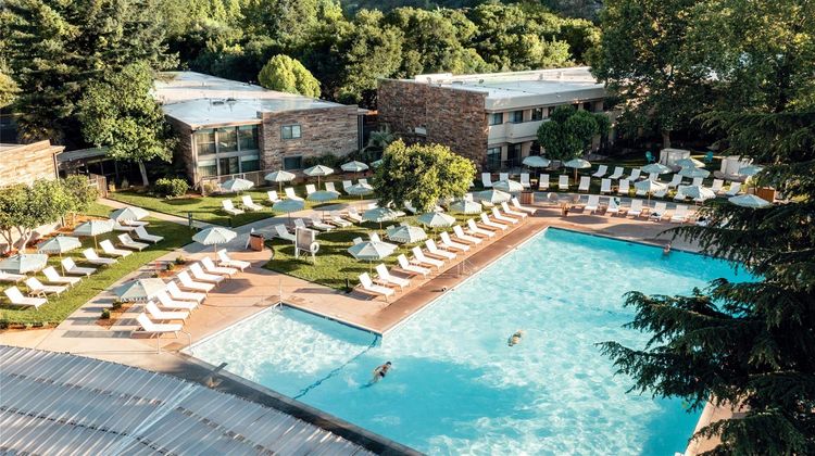 Flamingo Resort and Spa Pool