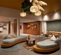 Flamingo Resort and Spa Lobby