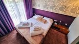 Hotel San Antonio Room