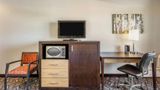 <b>Days Inn by Wyndham Airdrie Room</b>. Images powered by <a href="https://iceportal.shijigroup.com/" title="IcePortal" target="_blank">IcePortal</a>.