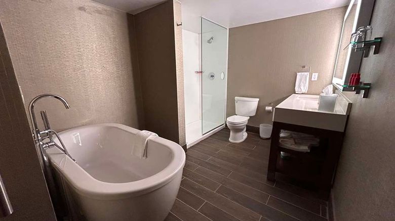 <b>Skyline Hotel Detroit Airport, SureStay Room</b>. Images powered by <a href="https://iceportal.shijigroup.com/" title="IcePortal" target="_blank">IcePortal</a>.