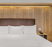 Otter Hotel Room