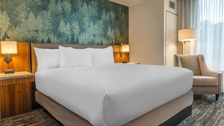 <b>Drury Plaza Hotel Pigeon Forge Room</b>. Images powered by <a href="https://iceportal.shijigroup.com/" title="IcePortal" target="_blank">IcePortal</a>.