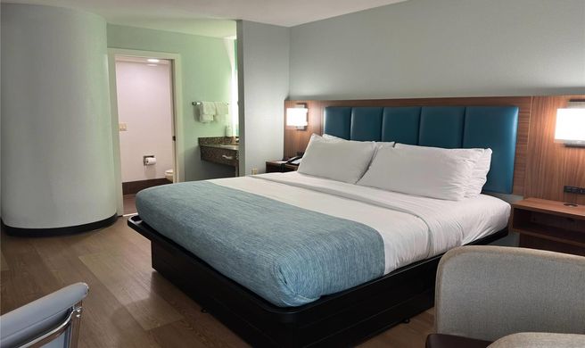 Wingate by Wyndham Macon West I-475 Room
