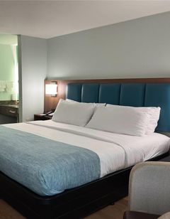 Wingate by Wyndham Macon West I-475