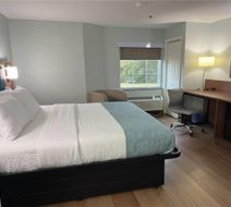 Wingate by Wyndham Macon West I-475 Room