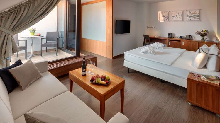 Hotel Carol Suite