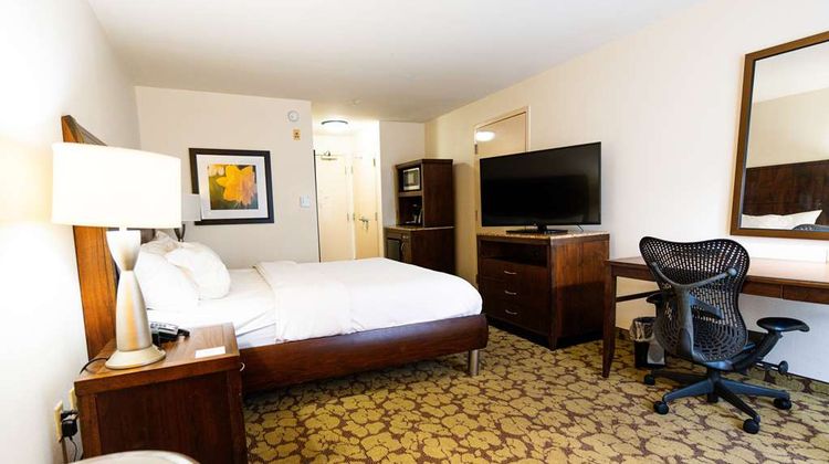 Wyndham Garden New Orleans Airport Room