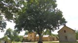 <b>Chateau Du Pin Exterior</b>. Images powered by <a href="https://iceportal.shijigroup.com/" title="IcePortal" target="_blank">IcePortal</a>.