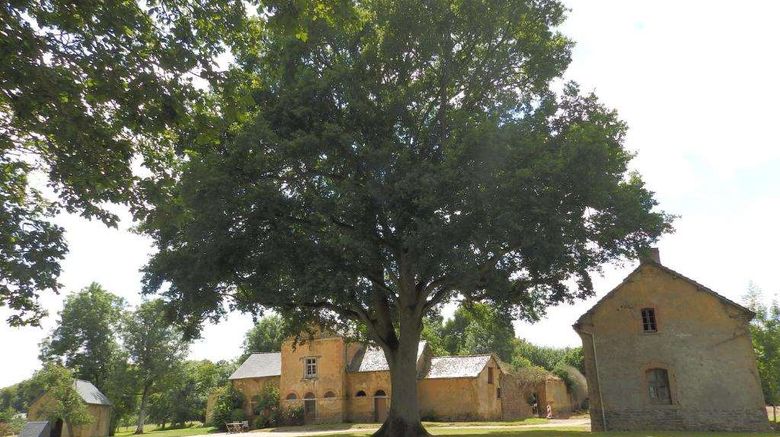 <b>Chateau Du Pin Exterior</b>. Images powered by <a href="https://iceportal.shijigroup.com/" title="IcePortal" target="_blank">IcePortal</a>.
