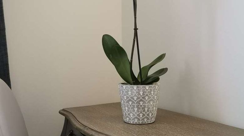 <b>Brit Hotel Les Acacias Room</b>. Images powered by <a href="https://iceportal.shijigroup.com/" title="IcePortal" target="_blank">IcePortal</a>.