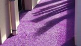 <b>Brit Hotel Pays de Vitre Other</b>. Images powered by <a href="https://iceportal.shijigroup.com/" title="IcePortal" target="_blank">IcePortal</a>.