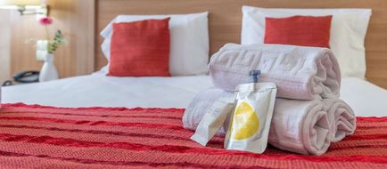 Brit Hotel Confort Castres Room
