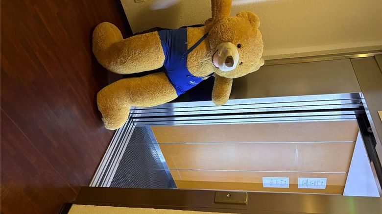 <b>Brit Hotel Confort Villeneuve Sur Lot Other</b>. Images powered by <a href="https://iceportal.shijigroup.com/" title="IcePortal" target="_blank">IcePortal</a>.