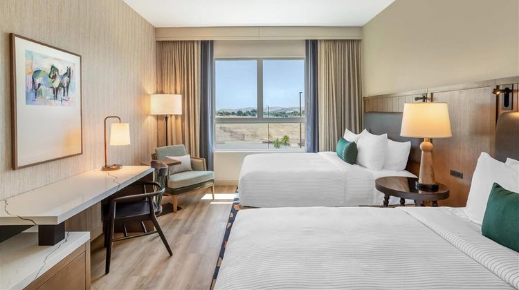 Cambria Hotel Templeton - Paso Robles Room
