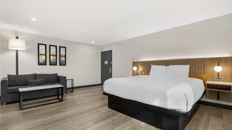 Best Western San Diego Pacific Beach/Mis Room