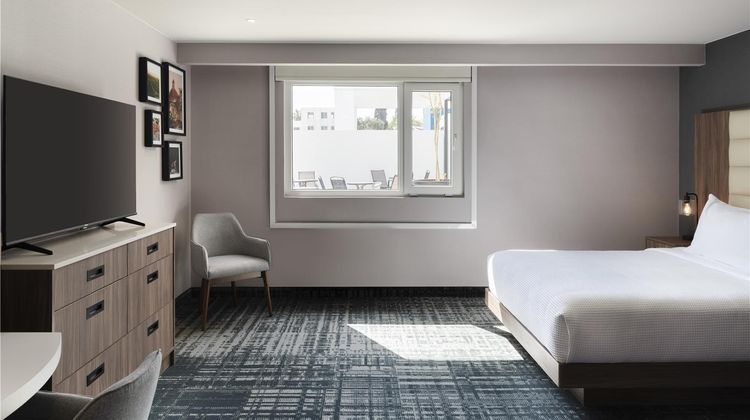 Homewood Suites by Hilton Saltillo Room