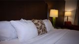 Alliance Hotel and Suites Room