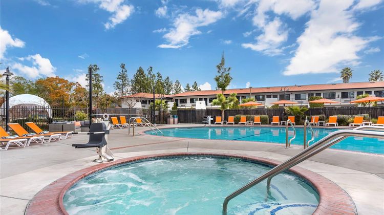 The Sandman Pool