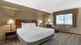 <b>Best Western North I-25 Hotel Room</b>. Images powered by <a href="https://iceportal.shijigroup.com/" title="IcePortal" target="_blank">IcePortal</a>.