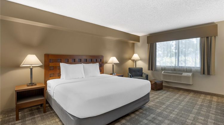 Best Western North I-25 Hotel Room