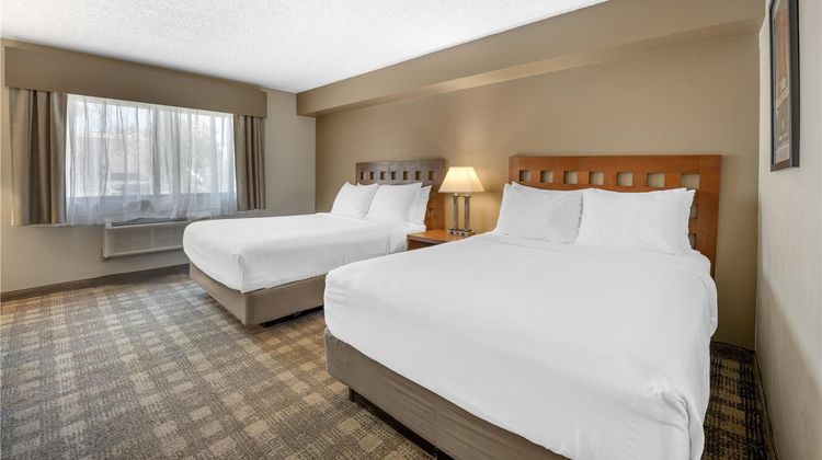Best Western North I-25 Hotel Room
