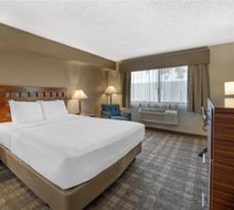 Best Western North I-25 Hotel Room