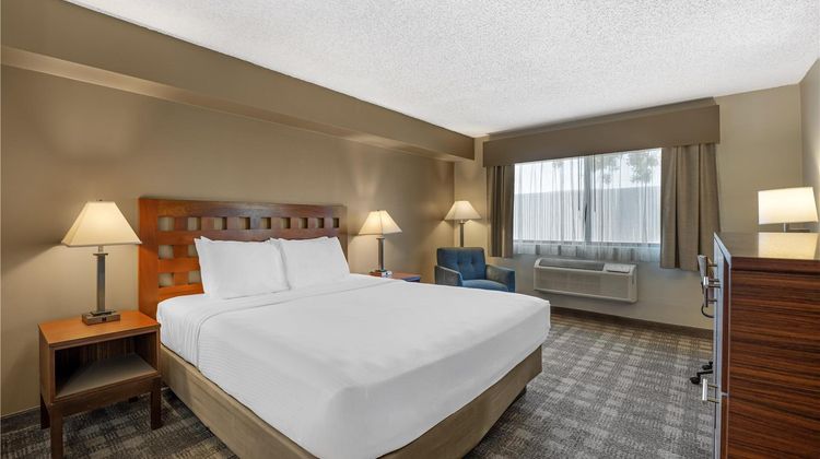 Best Western North I-25 Hotel Room