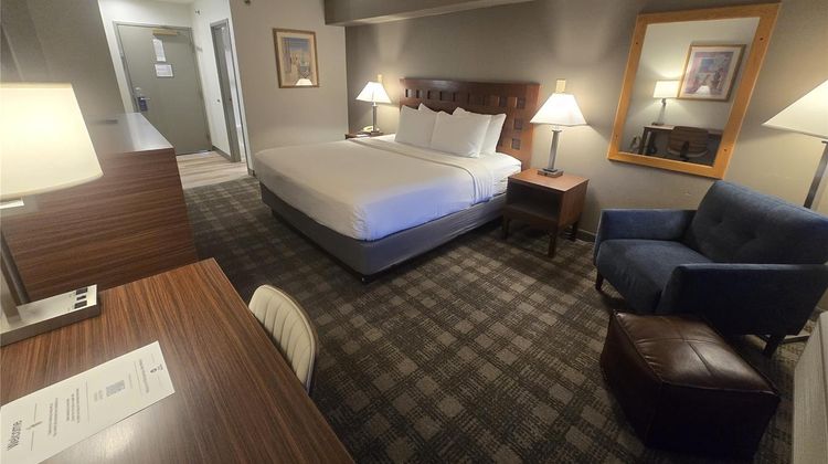 Best Western North I-25 Hotel Room