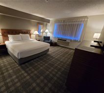 Best Western North I-25 Hotel Room