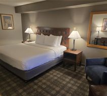 Best Western North I-25 Hotel Room