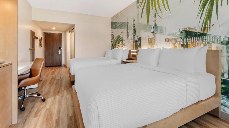 Cambria Hotel Tampa-Brandon Room