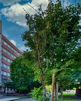 City Budget Hotel Budapest